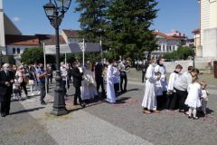 IMG-8619