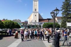 IMG-8620