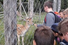 Resized_20190710_143806