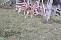 Resized_20190710_143940